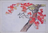 日本名画鑑  徳川時代之部 丸山応挙 下巻