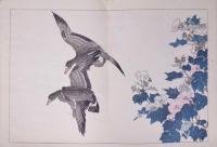 日本名画鑑  徳川時代之部 丸山応挙 下巻