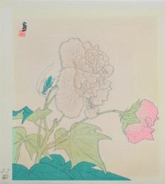 徳力富吉郎 版画 酔芙蓉