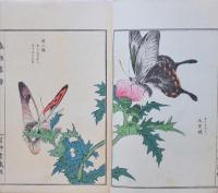 虫類画譜