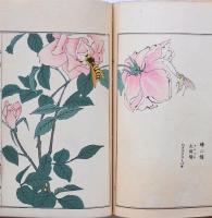 虫類画譜