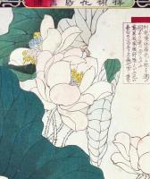 楳嶺花鳥画譜 初版分売 ： 秋之部  蓮・鵞(がちょう)