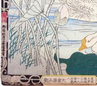 楳嶺花鳥画譜 初版分売 ： 秋之部  蓮・鵞(がちょう)