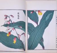 草花百種 重版 1～4