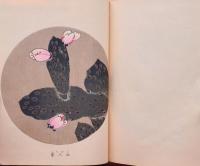 若冲画譜 四 再版
