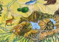 【パンフ】 国立公園 阿寒案内図