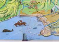 【パンフ】 国立公園 阿寒案内図