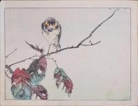 省亭花鳥帖