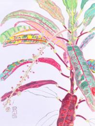「くろとん」 .辻 永  現代作家デッサン集 洋画編より