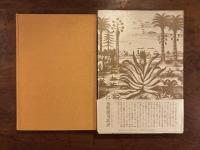 高岳親王航海記