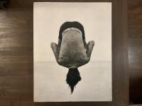 Herb Ritts : Pictures