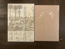 高岳親王航海記