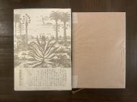 高岳親王航海記