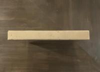 カルメル修道会に入ろうとしたある少女の夢