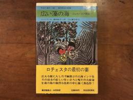 広い藻の海　ジェイン・エア異聞