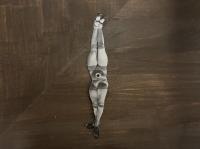 ファンム・アンファンの楽園　澁澤龍彦 ベルメール論集成