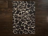 MÉTONYMIE《換喩》