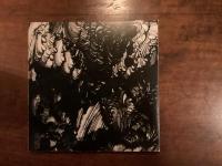 加納光於　1977
