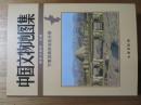 中国文物地図集　寧夏回族自治区分冊　附DVD