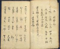 南蠻流眼目之書