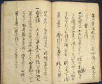 南蠻流眼目之書