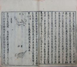 和漢三才事始問答