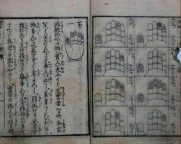 男女手紋 三十二相