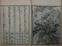 七夕の説（絵本あまのかは）