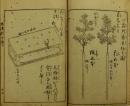 香道瀧之糸