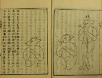 比古婆衣