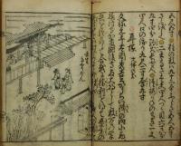 花のみやこ 名所車