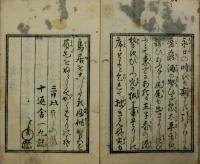 世界諸事 花の下物語