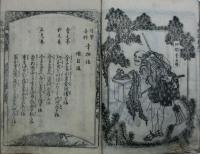 復讐奇談　幸物語