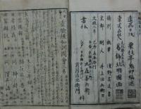 復讐奇談　幸物語