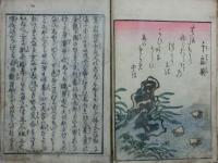（仮）春情傾城貝