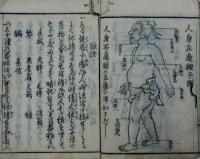 人間記憶伝
