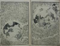三国白狐伝