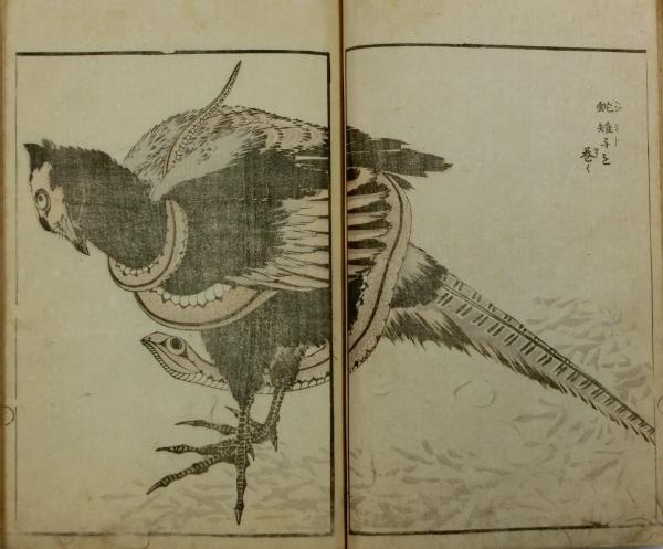 北斎麁画(葛飾北斎画) / 古本、中古本、古書籍の通販は「日本の