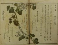 狂歌蘭亭帖
