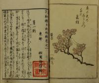 花細桜日記