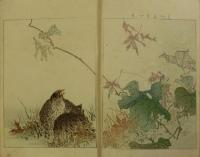 花鳥画譜