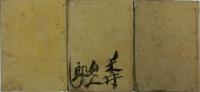 金生樹栄花鉢植