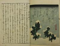 恋情 色四季志