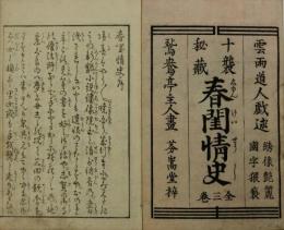十襲秘蔵 春閨情史