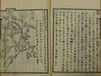 俳諧季寄 これこれ草