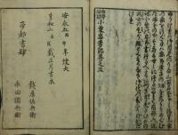 南部敵討 小栗忠孝記