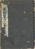 雛形菊の苗