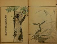 学画捷径