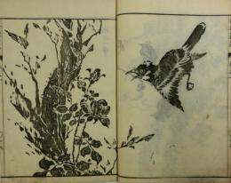 建氏画苑