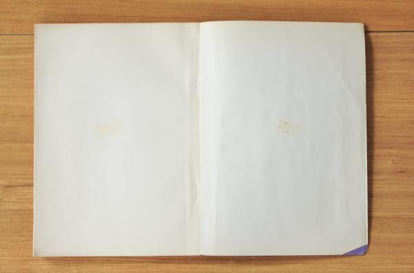 紫微斗数推命合婚法 透派 極奥秘伝(張耀文著、佐藤文栞訳) / 古本